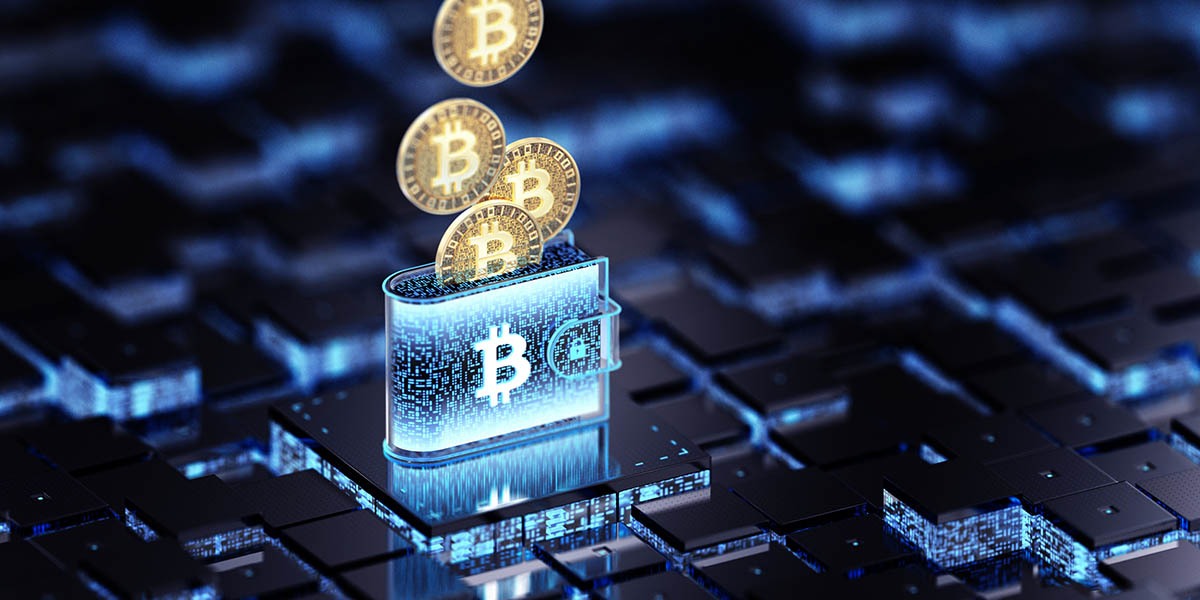 Crypto Wallet - Cyber Security Concepts. Wide